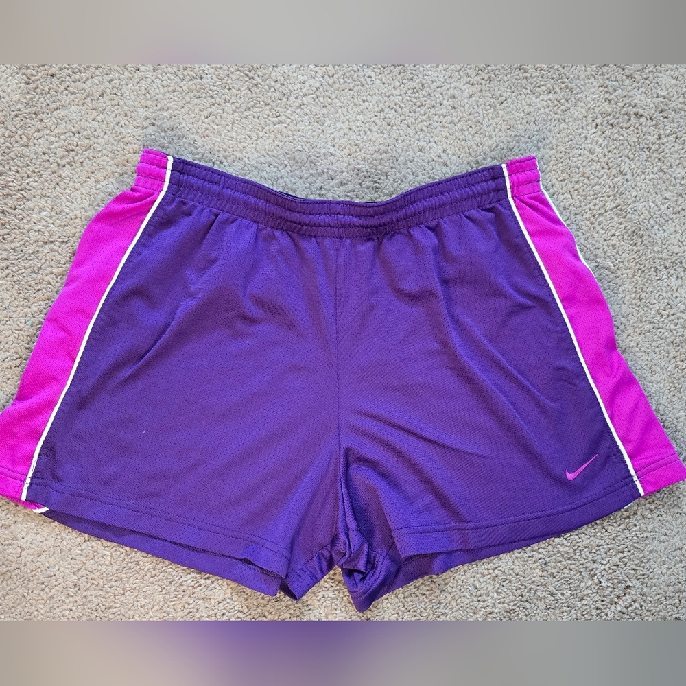Nike Women's Vibrant Purple & Pink Running  Athletic Shorts Sz Large